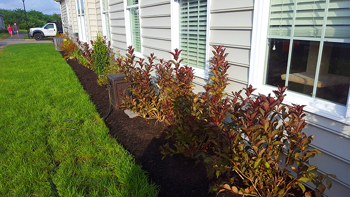 Natural gas firepit, patio and foundation plantings