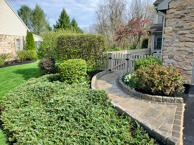 Townhouse Courtyard Walkway, Curbing and Planting